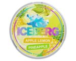 Iceberg Apple Lemon Pineapple SNUS/NIKOTÍNOVÉ VRECÚŠKA - XMANIA Ireland 6