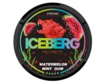Iceberg Watermelon Mint Gum SNUS/NIKOTÍNOVÉ VRECÚŠKA - XMANIA Ireland 6