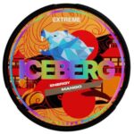 Iceberg Energy Mango SNUS/NIKOTÍNOVÉ VRECÚŠKA - XMANIA Ireland 6