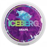 Iceberg Grape SNUS/NIKOTÍNOVÉ VRECÚŠKA - XMANIA Ireland 6