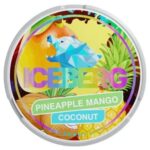 Iceberg Pineapple Mango Coconut SNUS/NIKOTÍNOVÉ VRECÚŠKA - XMANIA Ireland 6